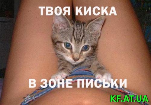 киска